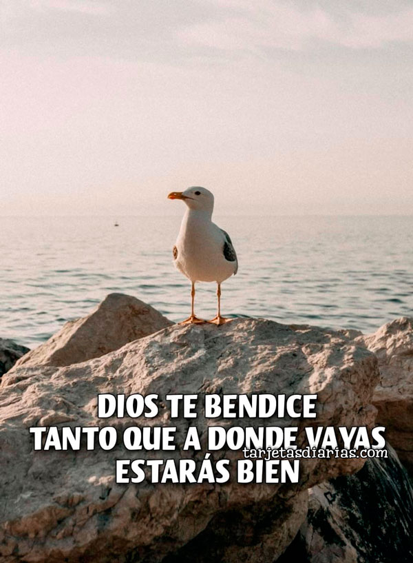 DIOS TE BENDICE TANTO QUE A DONDE VAYAS ESTARÁS BIEN