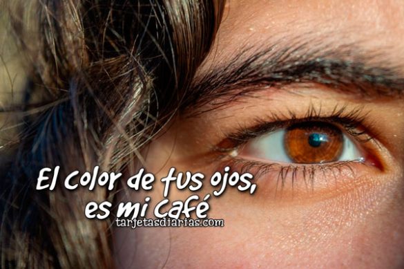 EL COLOR DE TUS OJOS ES MI CAFÉ