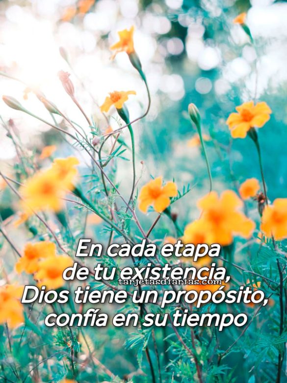 EN CADA ETAPA DE TU EXISTENCIA, DIOS TIENE UN PROPÓSITO, CONFÍA EN SU TIEMPO