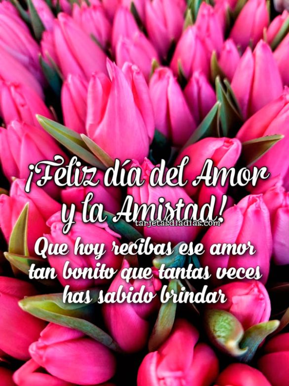 ¡FELIZ DÍA DEL AMOR Y LA AMISTAD! QUE HOY RECIBAS ESE AMOR TAN BONITO QUE TANTAS VECES HAS SABIDO BRINDAR