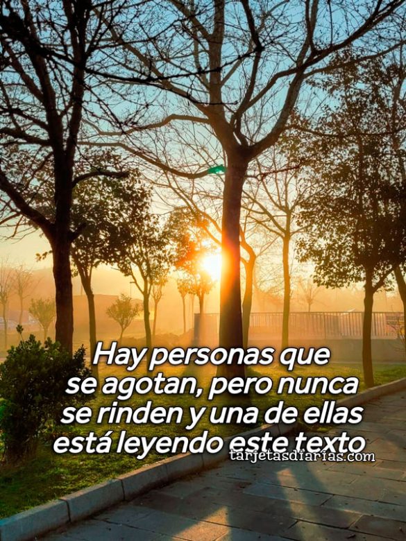HAY PERSONAS QUE SE AGOTAN, PERO NUNCA SE RINDEN Y UNA DE ELLAS ESTÁ LEYENDO ESTE TEXTO