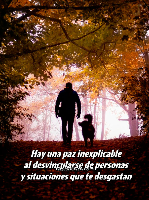 HAY UNA PAZ INEXPLICBLE AL DESVINCULARSE DE PERSONAS Y SITUACIONES QUE TE DESGASTAN