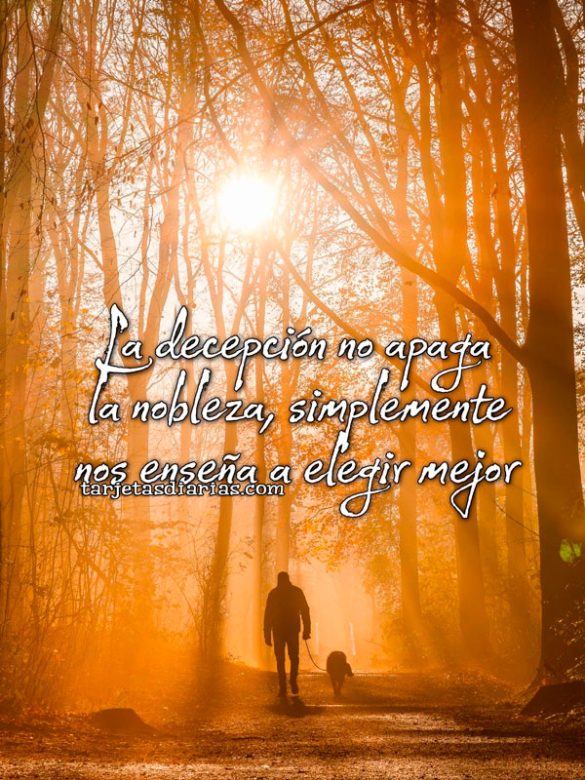 LA DECEPCIÓN NO APAGA LA NOBLEZA, SIMPLEMENTE NOS ENSEÑA A ELEGIR MEJOR