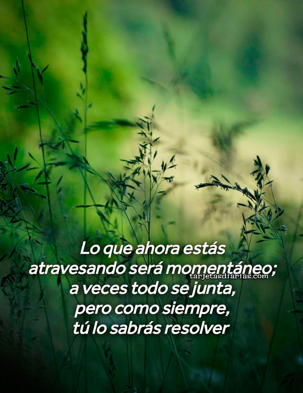LO QUE AHORA ESTÁS ATRAVESANDO SERÁ MOMENTÁNEO; A VECES TODO SE JUNTA, PERO COMO SIEMPRE, TÚ LO SABRÁS RESOLVER
