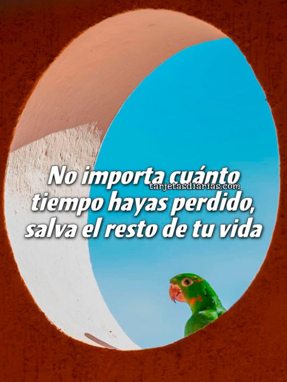NO IMPORTA CUÁNTO TIEMPO HAYAS PERDIDO, SALVA EL RESTO DE TU VIDA