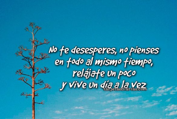 NO TE DESESPERES, NO PIENSES EN TODO AL MISMO TIEMPO, RELÁJATE UN POCO Y VIVE UN DÍA A LA VEZ