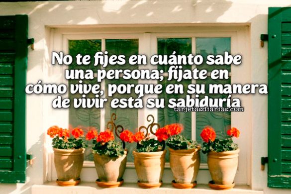 NO TE FIJES EN CUÁNTO SABE UNA PERSONA; FÍJATE EN CÓMO VIVE, PORQUE EN SU MANERA DE VIVIR ESTÁ SU SABIDURÍA