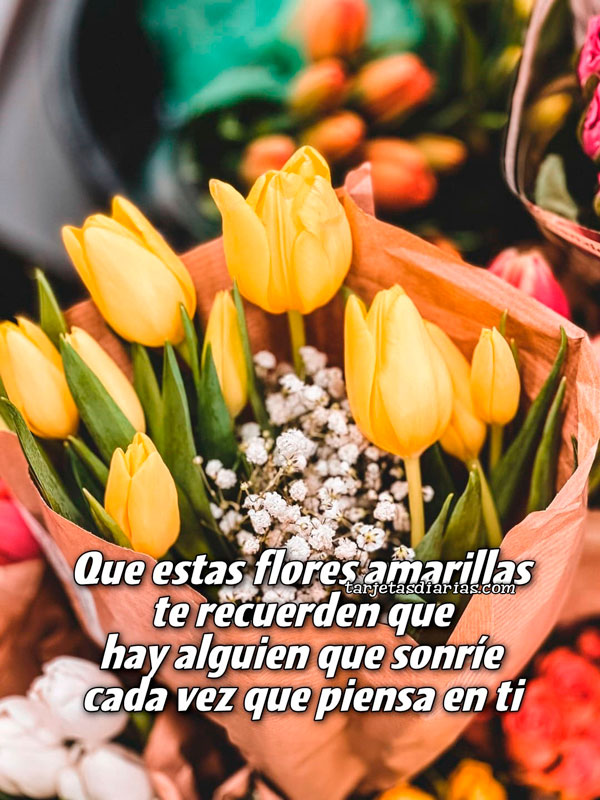 QUE ESTAS FLORES AMARILLAS TE RECUERDEN QUE HY ALGUIEN QUE SONRÍE CADA VEZ QUE PIENSA EN TI