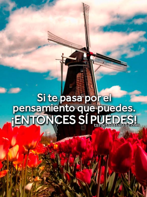 SI TE PASA POR EL PENSAMIENTO QUE PUEDES. ¡ENTONCES SÍ PUEDES!
