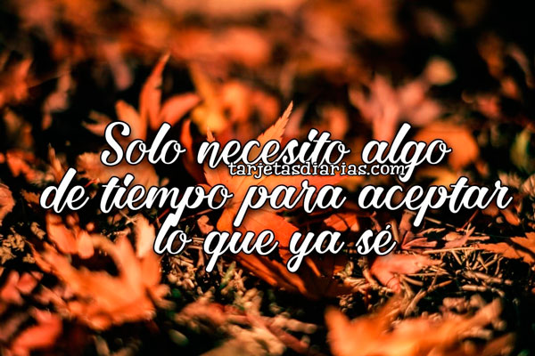 SOLO NECESITO ALGO DE TIEMPO PARA ACEPTAR LO QUE YA SÉ