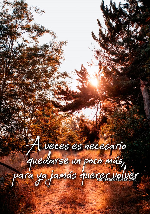 A VECES ES NECESARIO QUEDARSE UN POCO MÁS, PERO YA JAMÁS QUERER VOLVER