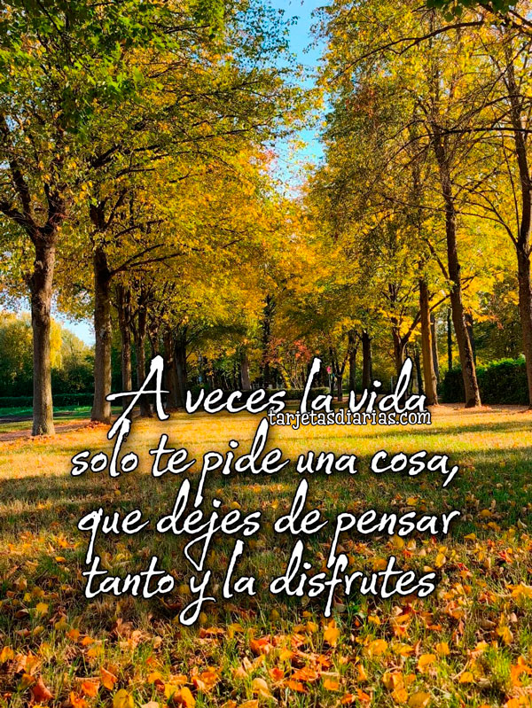 A VECES LA VIDA SOLO TE PIDE UNA COSA, QUE DEJES DE PENSAR TANTO Y LA DISFRUTES