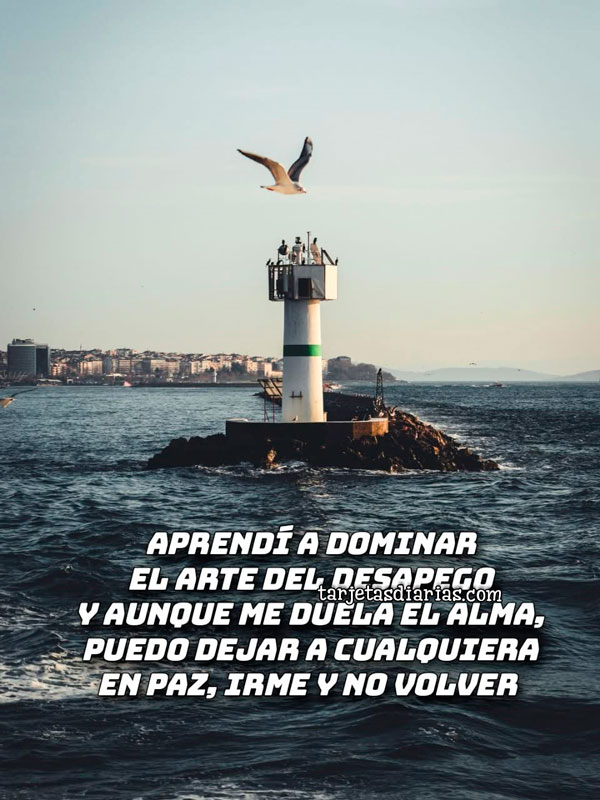 APRENDÍ A DOMINAR EL ARTE DEL DESAPEGO Y AUNQUE ME DUELA EL ALMA