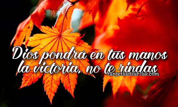 DIOS PONDRÁ EN TUS MANOS LA VICTORIA, NO TE RINDAS