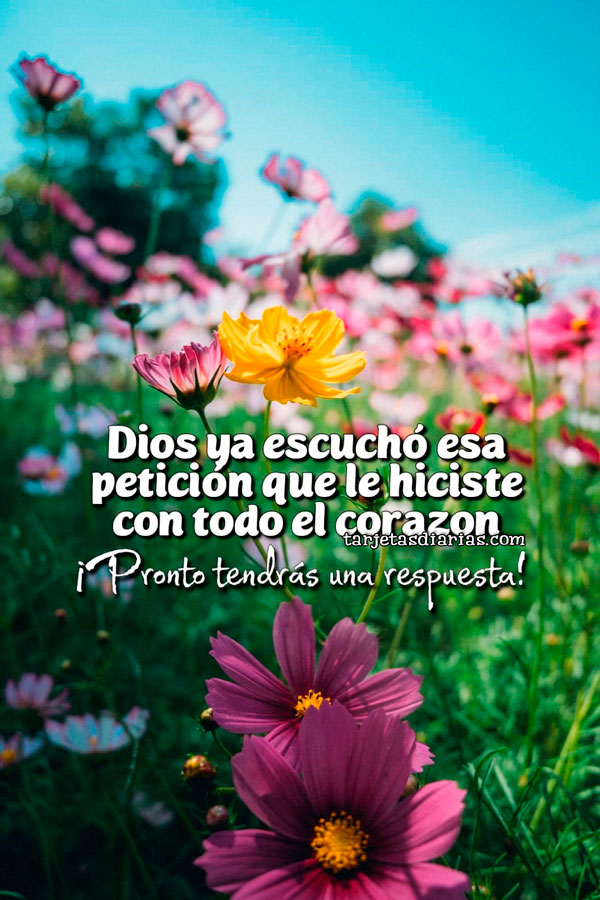 DIOS YA ESCUCHÓ ESA PETICIÓN QUE LE HICISTE CON TODO EL CORAZÓN