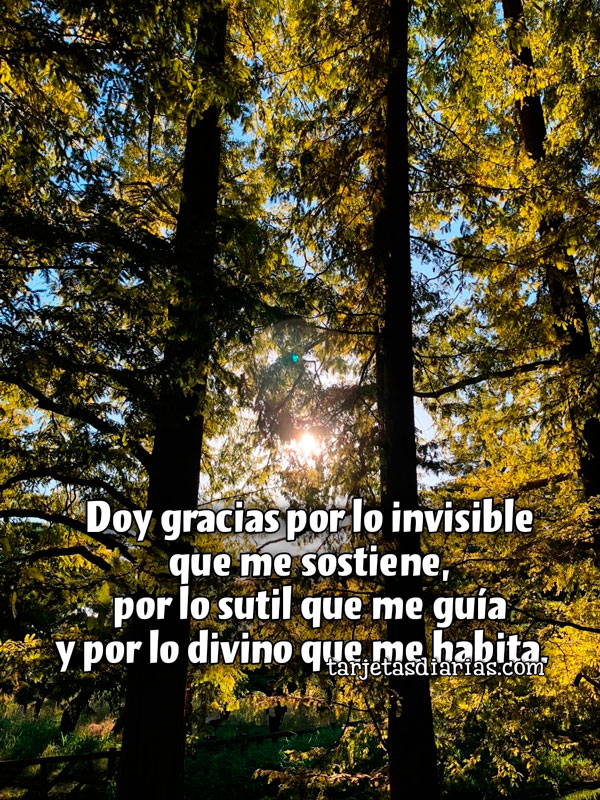 DOY GRACIAS POR LO INVISIBLE QUE ME SOSTIENE, POR LO SUTIL QUE ME GUÍA Y POR LO DIVINO QUE ME HABITA