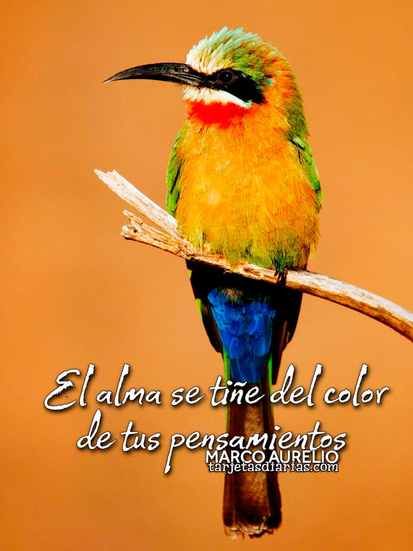 EL ALMA SE TIÑE DEL COLOR DE TUS PENSAMIENTOS