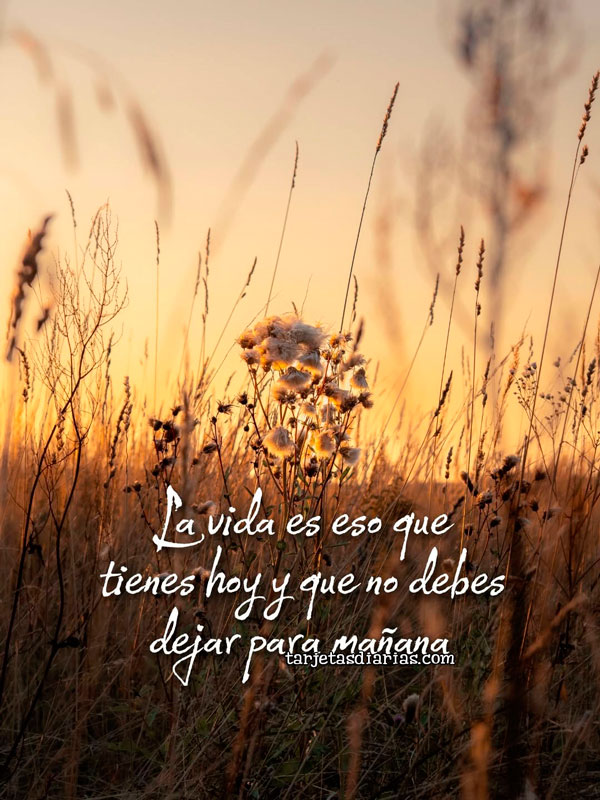 LA VIDA ES ESO QUE TIENES HOY Y QUE NO DEBES DEJAR PARA MAÑANA