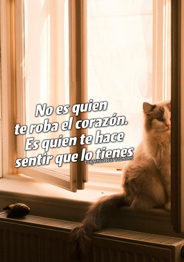 NO ES QUIEN TE ROBA EL CORAZÓN. ES QUIEN TE HACE SENTIR QUE LO TIENES