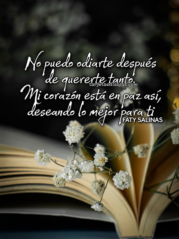 NO PUEDO ODIARTE DESPUÉS DE QUERERTE TANTO. MI CORAZÓN ESTÁ EN PAZ ASÍ, DESEANDO LO MEJOR PARA TI