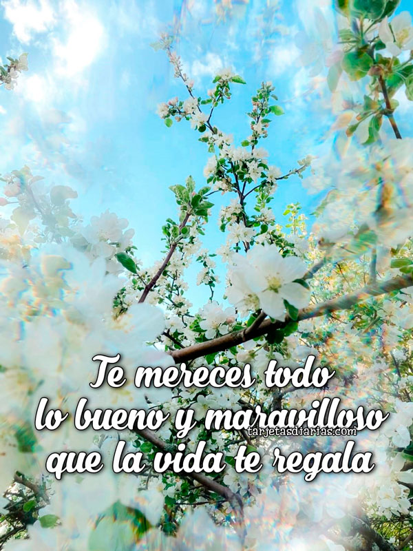 TE MERECES TODO LO BUENO Y MARAVILLOSO QUE LA VIDA TE REGALA