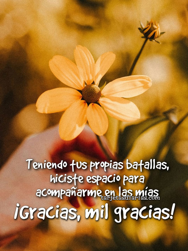 TENIENDO TUS PROPIAS BATALLAS, HICISTE ESPACIO PARA ACOMPAÑARME EN LAS MÍAS. ¡GRACIAS, MIL GRACIAS!