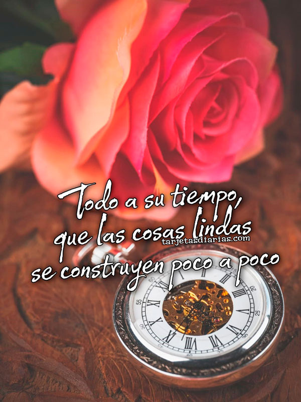 TODO A SU TIEMPO, QUE LAS COSAS LINDAS SE CONSTRUYEN POCO A POCO