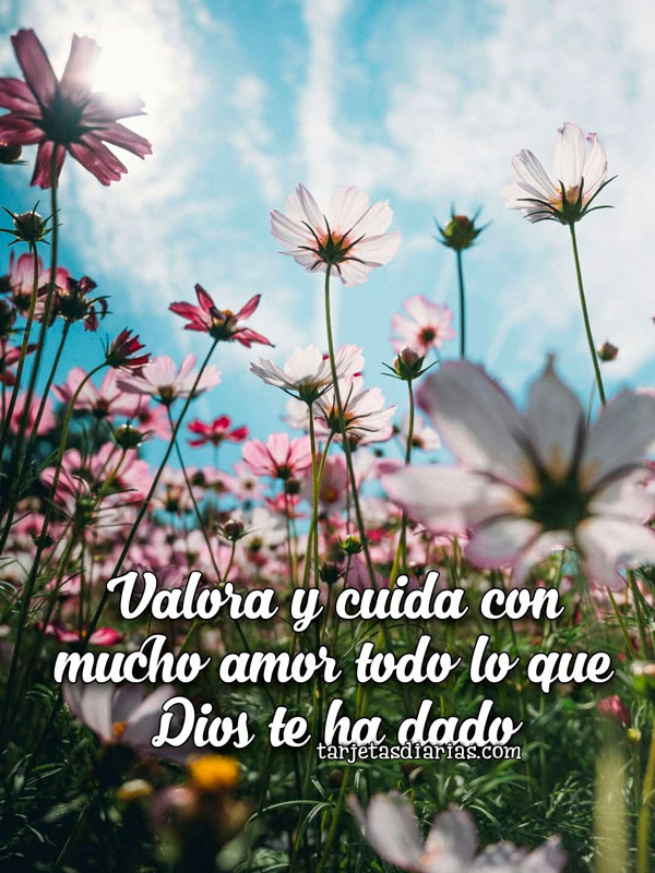 VALORA Y CUIDA CON MUCHO AMOR TODO LO QUE DIOS TE HA DADO