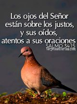 LOS OJOS DEL SEÑOR ESTÁN SOBRE LOS JUSTOS Y SUS OÍDOS ATENTOS A SUS ORACIONES. SALMO 34:15