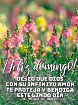 ¡FELIZ DOMINGO! DESEO QUE DIOS CON SU INFINITO AMOR TE PROTEJA Y BENDIGA ESTE LINDO DÍA