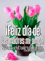 ¡FELIZ DÍA DE LAS MADRES MI AMOR!