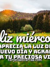 APRECIA LA LUZ DE UN NUEVO DÍA Y AGRADECE POR TU PRECIOSA VIDA