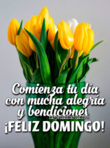 COMIENZA TU DÍA CON MUCHA ALEGRÍA Y BENDICIONES ¡FELIZ DOMINGO!