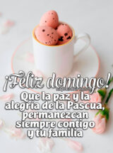 ¡FELIZ DOMINGO! QUE LA PAZ Y LA ALEGRÍA DE LA PASCUA, PERMANEZCAN CONTIGO Y TU FAMILIA