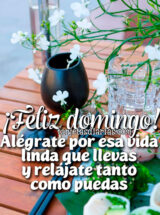 ¡FELIZ DOMINGO! ALÉGRATE POR ESA VIDA LINDA QUE LLEVAS Y RELÁJATE TANTO COMO PUEDAS