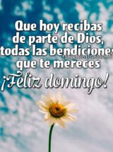 QUE HOY RECIBAS DE PARTE DE DIOS, TODAS LAS BENDICIONES QUE TE MERECES. ¡FELIZ DOMINGO!