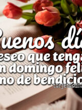 ¡BUENOS DÍAS! DESEO QUE TENGAS UN DOMINGO FELIZ Y LLENO DE BENDICIONES