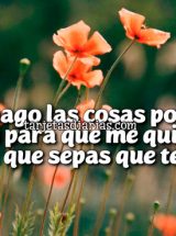 SI HAGO COSAS POR TI, NO ES PARA QUE ME QUIERAS, ES PARA QUE SEPAS QUE TE QUIERO