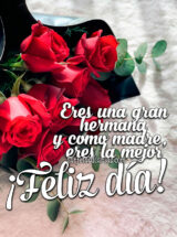 ERES UNA GRAN HERMANA Y COMO MADRE, ERES LA MEJOR. ¡FELIZ DÍA!