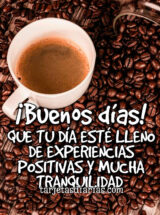 ¡BUENOS DÍAS! QUE TU DÍA ESTÉ LLENO DE EXPERIENCIAS POSITIVAS Y MUCHA TRANQUILIDAD