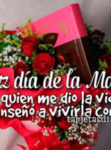 ¡FELIZ DÍA DE LA MADRE! A QUIEN ME DIO LA VIDA Y ME ENSEÑÓ A VIVIRLA CON AMOR