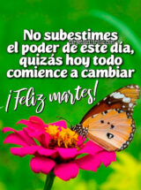 NO SUBESTIMES EL PODER DE ESTE DÍA, QUIZÁS HOY TODO COMIENCE A CAMBIAR. ¡FELIZ MARTES!