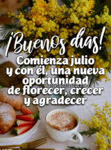 ¡BUENOS DÍAS! COMIENZA JULIO Y CON ÉL UNA NUEVA OPORTUNIDAD DE FLORECER, CRECER Y AGRADECER