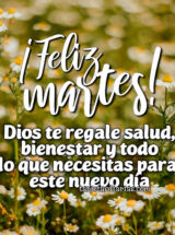 ¡FELIZ MARTES! DIOS TE REGALE SALUD, BIENESTAR Y TODO LO QUE NECESITAS PARA ESTE NUEVO DÍA