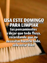 USA ESTE DOMINGO PARA LIMPIAR TUS PENSAMIENTOS Y DEJAR QUE TODO FLUYA, RECORDANDO QUE NO NECESITAS HACERLO TODO, SÓLO ESTAR BIEN