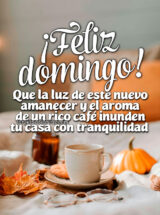 ¡FELIZ DOMINGO! QUE LA LUZ DE ESTE NUEVO AMANECER Y EL AROMA DE UN RICO CAFÉ INUNDEN TU CASA CON TRANQUILIDAD