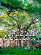 DEJA IR LO QUE YA FUE Y CONFÍA EN LO QUE VIENE, EN LO QUE SÍ PUEDE SER