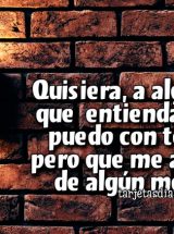 QUISIERA, A ALGUIEN QUE ENTIENDA QUE NO PUEDO CON TODO, PERO QUE ME APOYE DE ALGÚN MODO