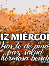 ¡FELIZ MIÉRCOLES! DIOS TE DE AMOR, PAZ, SALUD Y SU HERMOSA BENDICIÓN