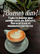¡BUENOS DÍAS! TODO LO BUENO QUE SEMBRASTE EN FEBRERO, FLORECERA EN EL MOMENTO PERFECTO